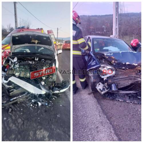 ffe6f0d3-28bd-40bf-bbb4-eac2c0b4776d