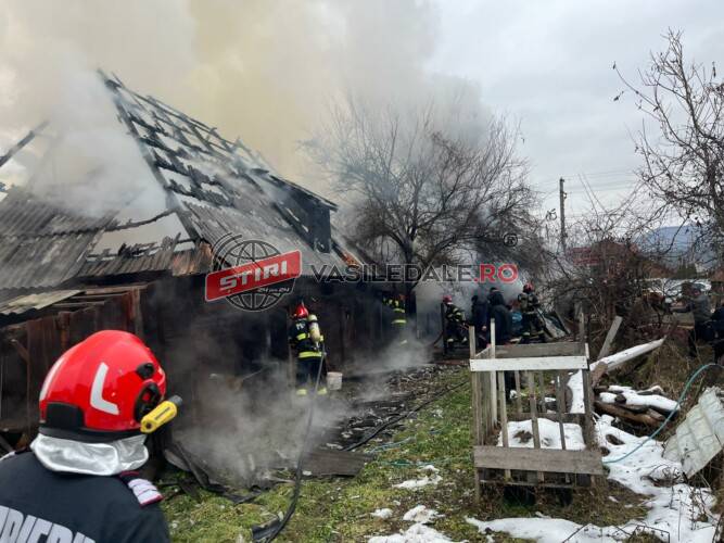 FOTO: Incendiu la o anexă gospodărească din Vișeu de Sus