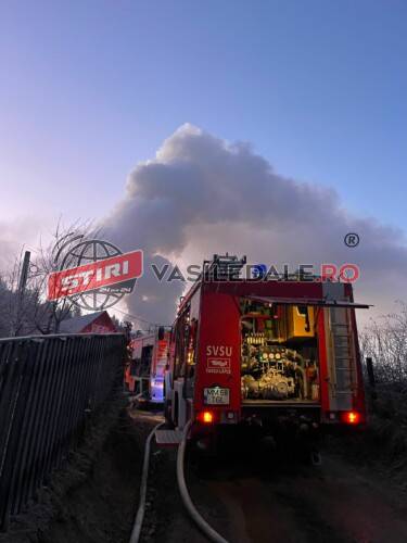 VIDEO: O cabană din Băiuț a luat foc. Cinci persoane s-au autoevacuat – ACTUALIZARE