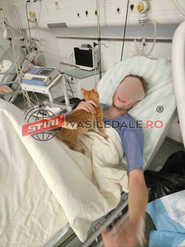 MISIUNE ÎNCHEIATĂ: Ucraineanul și pisica sa au fost salvați