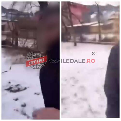 EXCLUSIV: Hormonii din pauza mare – Adolescent lovit într-un parc de lângă liceul din Borșa (VIDEO)