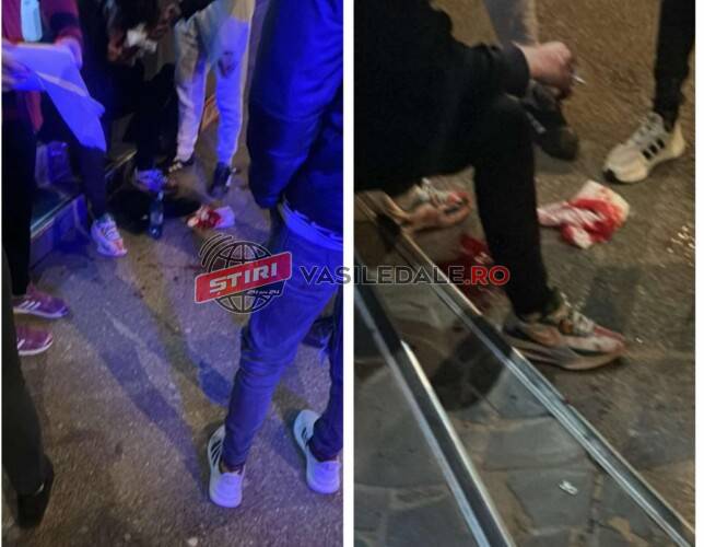 7686abbf-76f0-47f1-b8b4-d097f27e0933