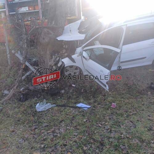 EXCLUSIV: A intrat cu mașina direct în copac. Intervine descarcerarea la Bârsana (foto / actualizare)