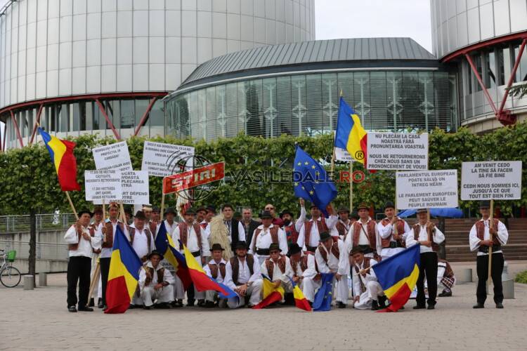 VICTORIE ISTORICĂ LA CEDO: Retrocedare efectivă a 17.000 ha pădure în 12 luni sau 61.540.966 euro despăgubiri în cazul Composesoratului Borşa