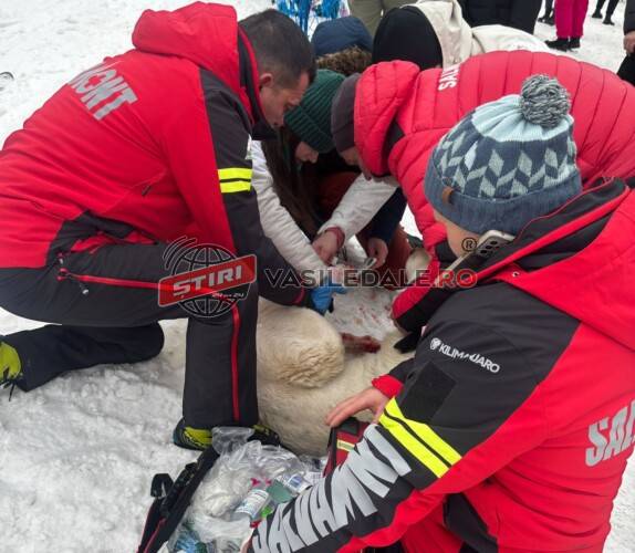 INTERVENȚII SALVAMONT: Nouă accidentări pe pârtii, câine accidentat de un schior