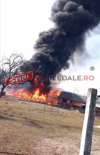 EXCLUSIV VIDEO: O bătrână a dat foc la resturile vegetale dar a aprins Piața Agroalimentară din Rozavlea – actualizare