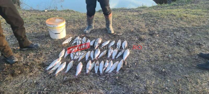 Acțiune a polițiștilor pentru protejarea biodiversității acvative pe râul Someș