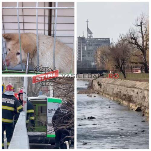 58d398eb-b57e-40f4-8cf1-69e7cd14d0cd