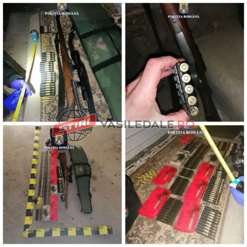 JUDECĂTORIA VIȘEU DE SUS: Un braconier din Borșa a fost trimis după gratii pentru următoarele 30 de zile