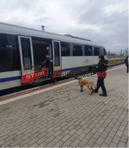 Trenurile verificate de polițiștii de la Transporturi sprijiniți de câinele antidrog (foto)
