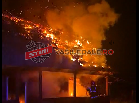 incendiu bocicoiu mare