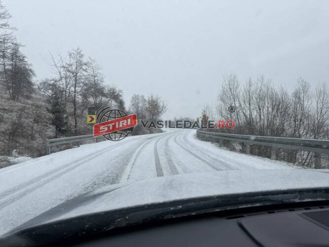 VIDEO: S-a întors iarna în județ. Frig, ninsori și vânt până în seara de luni