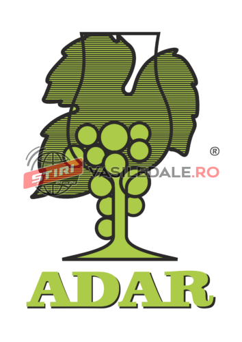 Industria vinului din România: Ocupația de Enolog, oficial recunoscută în COR