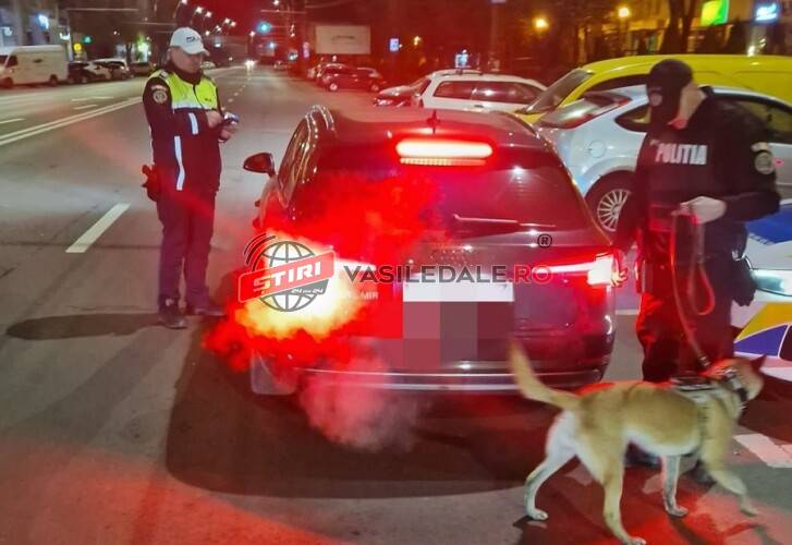 Acțiune tip Blocada în Baia Mare pentru prevenirea faptelor de violență, consumului de alcool și droguri