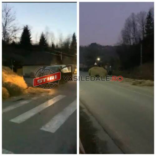 EXCLUSIV VIDEO: Săliștea de Sus – A intrat cu mașina într-o căruță plină cu fân