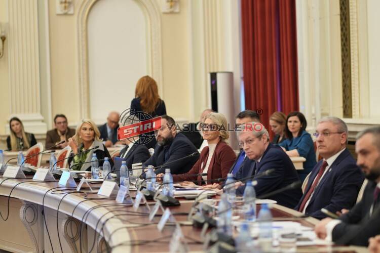 Cristian Niculescu-Țâgârlaș, la dezbaterea „Droguri. Toleranță zero”