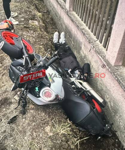 3777da6f-d4a3-4f2b-98b7-7fd7312b86f4