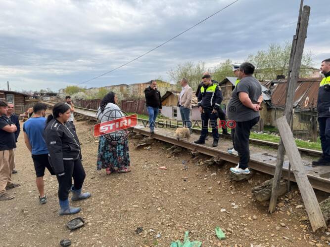 Poliția Locală Baia Mare intervine la solicitarea cetățenilor din Cartierul ”Vasile Alecsandri”