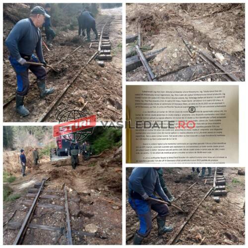 f3558e65-2533-415e-bd58-409facf3a655