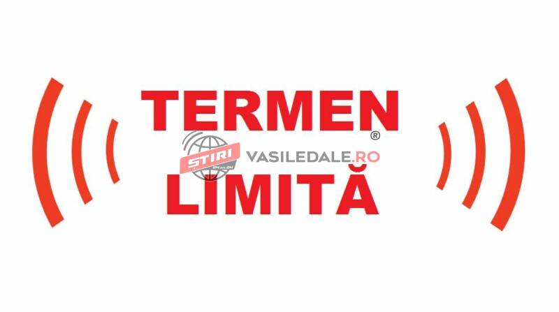 termen limita