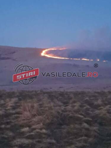 5746bca7-0326-4c2a-8dac-cf4ffe660f75