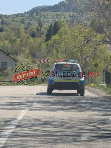 POLIȚIA RUTIERĂ: Accidente și infracțiuni rutiere pe șoselele Maramureșului