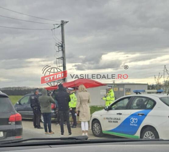 RAZIE A POLIȚIEI LOCALE: Lebenițarii de pe centura municipiului Baia Mare luați la puricat