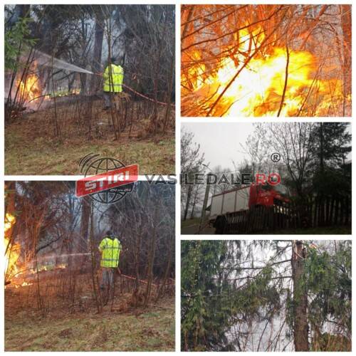 EXCLUSIV VIDEO: Furtună, vijelie și ninsori abundente peste Maramureș – Molid lovit de trăsnet la Ruscova. Flăcările stinse de pompierii civili. Drumarii intervin pe Cavnic, Gutâi și Hera – ACTUALIZARE