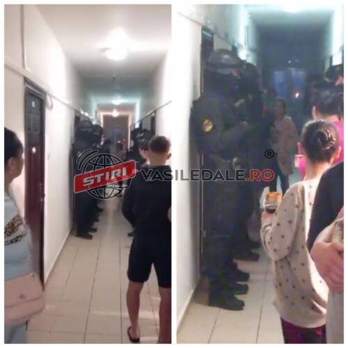 EXCLUSIV: Percheziții pe strada Horea din Baia Mare. Se caută droguri dar și bunuri furate (video) – ACTUALIZARE