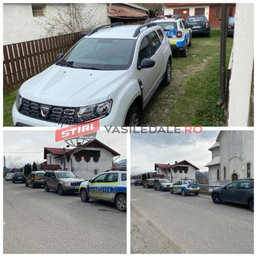 EXCLUSIV: Vizat de ample acțiuni de prevenire și combatere a delictelor silvice este Ocolul Silvic Vișeu de Sus (FOTO)