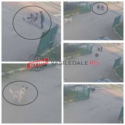 b2748385-8c84-42f8-a25a-b03dbcc54758