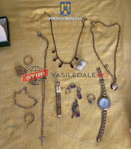 URMARE PERCHEZIȚII BORȘA: Cei doi localnici suspecți de jaful de la Mănăstirea IZBUC au fost reținuți pentru 24 de ore (FOTO)