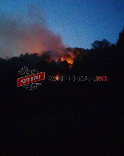 Incendiu de vegetatie uscată și litieră de pădure în zona Breaza din comuna Suciu de Sus