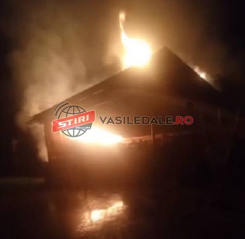 VIDEO: Incendiu la o casă și anexe gospodărești din Săcel
