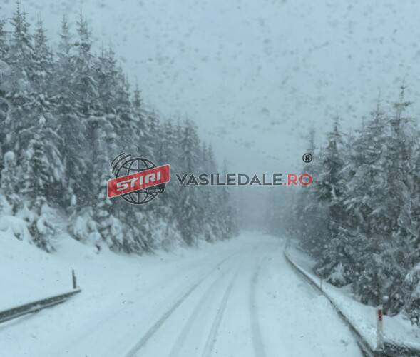 CODUL GALBEN de ninsori și viscol a fost prelungit