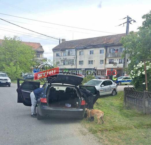 29 de vitezomani amendați de polițiști, pe D.N. 17C. Blocada la Suciu de Sus și Mogoșești. Șofer beat la Sighetu Marmației (foto)