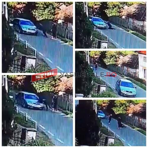 613f1a27-19b7-450f-8b67-4c16738e8241