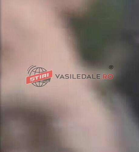 O IA LUMEA RAZNA: În pielea goală la magazinul din centrul satului – Bărbat din Strâmtura condamnat la 8 luni de închisoare cu suspendare