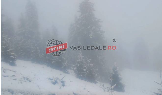 VIDEO: Trei ucraineni blocați într-o ravenă din zona Vf. Pop Ivan, căutați de salvamontiști și polițiști de frontieră (actualizare)