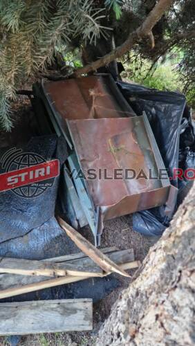 FAIN LA BAIA MARE: Prinși de jandarmul de serviciu în timp ce furau tabla de cupru dată jos de pe clădirea Palatului Administrativ din Baia Mare. Voiau să o vândă la fier vechi (VIDEO)