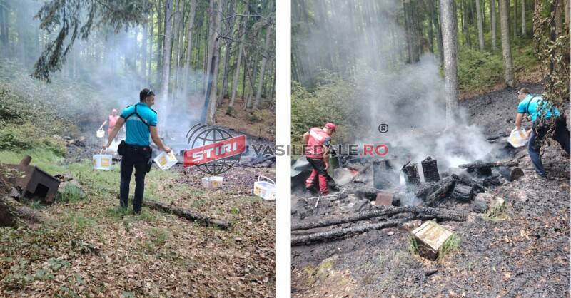 VIDEO: Incendiu izbucnit în Munții Gutâi, izolat de jandarmii montani