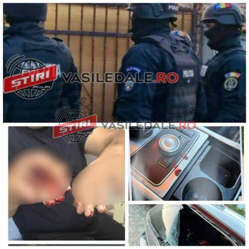 EXCLUSIVITATE: Mascații au descins la domiciliul ”haiducului Daniel”. Ar fi tăiat cu drujba un borșean și i-ar fi distrus mașina