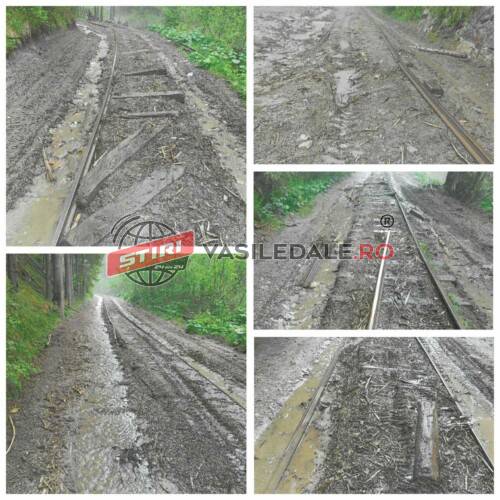 EXCLUSIV FOTO: Au tras buștenii tăiați ilegal cu TAF-uri pe terasamentul căii ferate de pe Valea Vaserului. 1,1 km au fost distruși!!! Polițiștii și procurorii au întors capul și s-au făcut că ”plouă”
