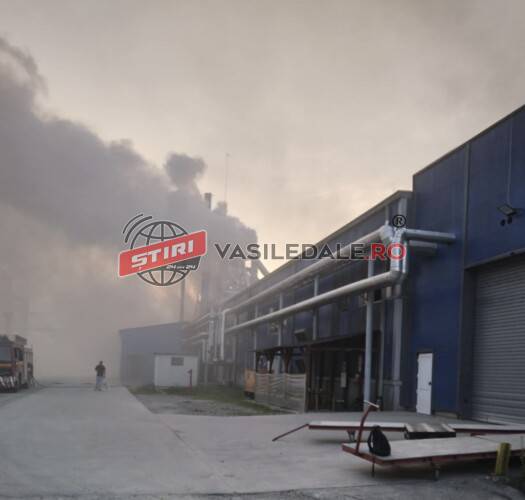 Exclusiv foto: Incendiu azi dimineață la o fabrică din Sighet. Foc și la Vadu Izei