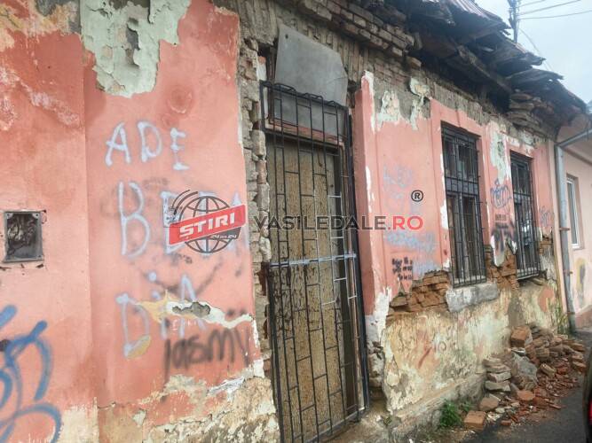 WhatsApp-Image-2025-06-17-at-17.50.29