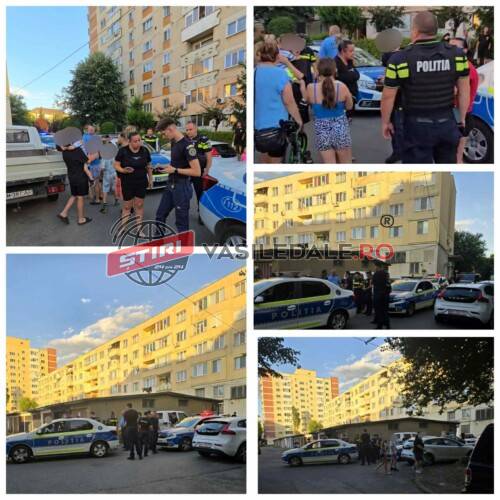 ac88cae4-e5c0-4239-bab9-00498c127776