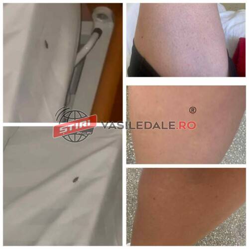 c4b6db82-245d-4585-9ffd-00b237c1c3ee