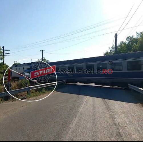 e7b33d67-2e87-4545-8c96-dbb1b6d4b81d