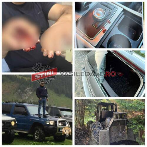 EXCLUSIVITATE: Un borșean susține că a fost tăiat cu DRUJBA de un individ din clanul ”Haiducilor”. Suspectul susține că ar fi fost amenințat