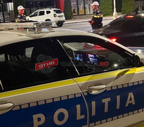 NEGREIA: Bătaie între frați, aplanată de polițiști